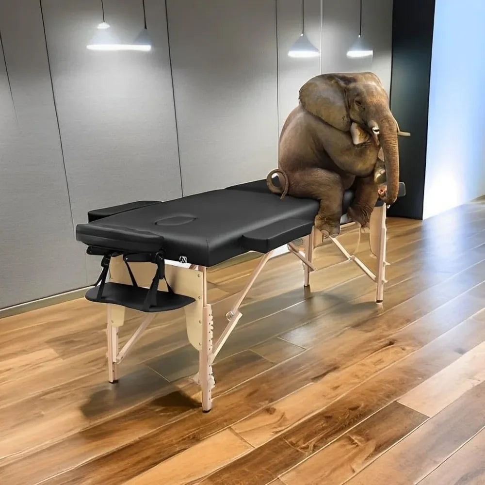 Massage Table Portable Lash Bed: Foldable Physical Therapy Table for Spa Tattoo